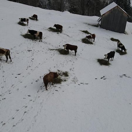 Hotel Casa Agroturistica Tarancuta Din Vatra Moldoviţei Extérieur photo