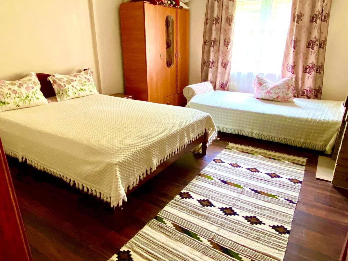 Hotel Casa Agroturistica Tarancuta Din Vatra Moldoviţei Extérieur photo