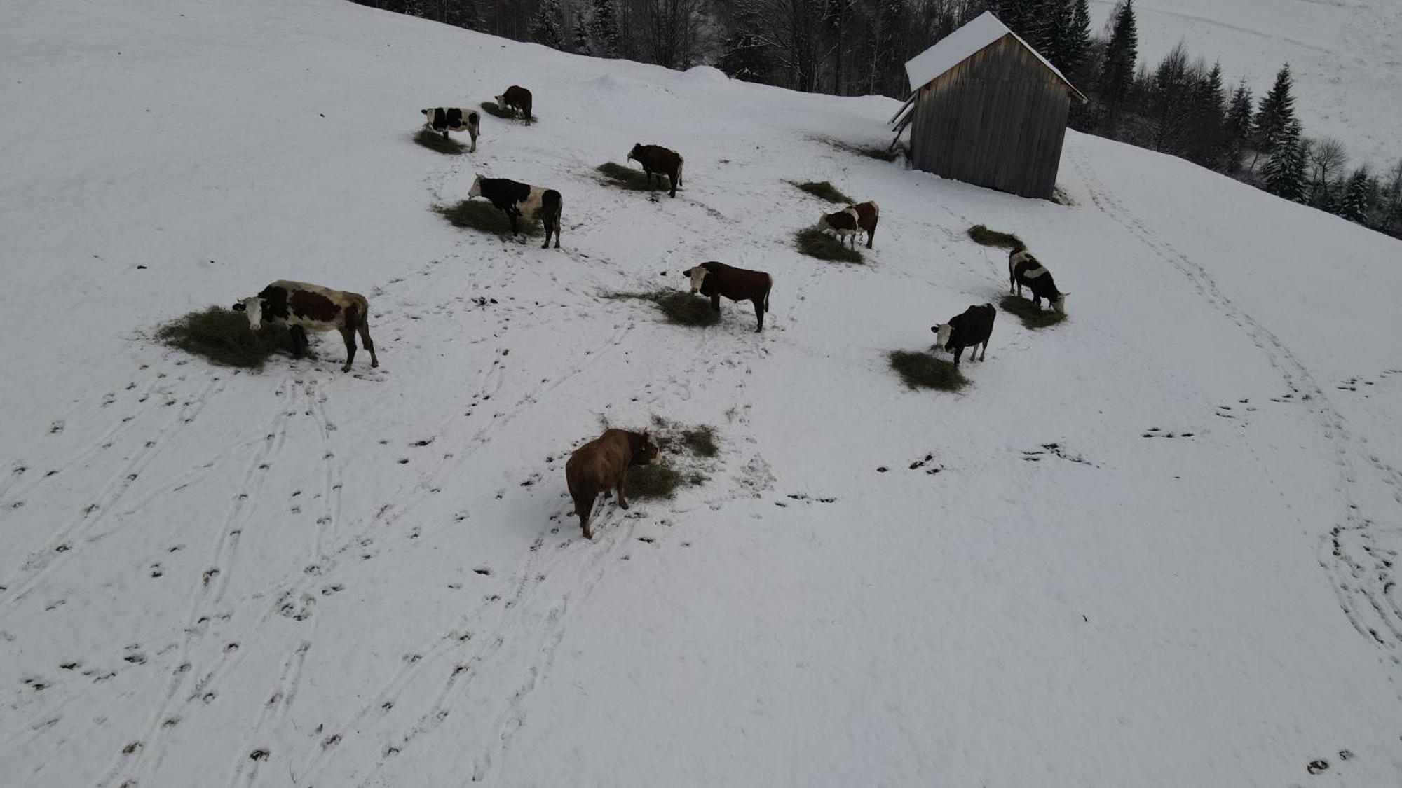 Hotel Casa Agroturistica Tarancuta Din Vatra Moldoviţei Extérieur photo