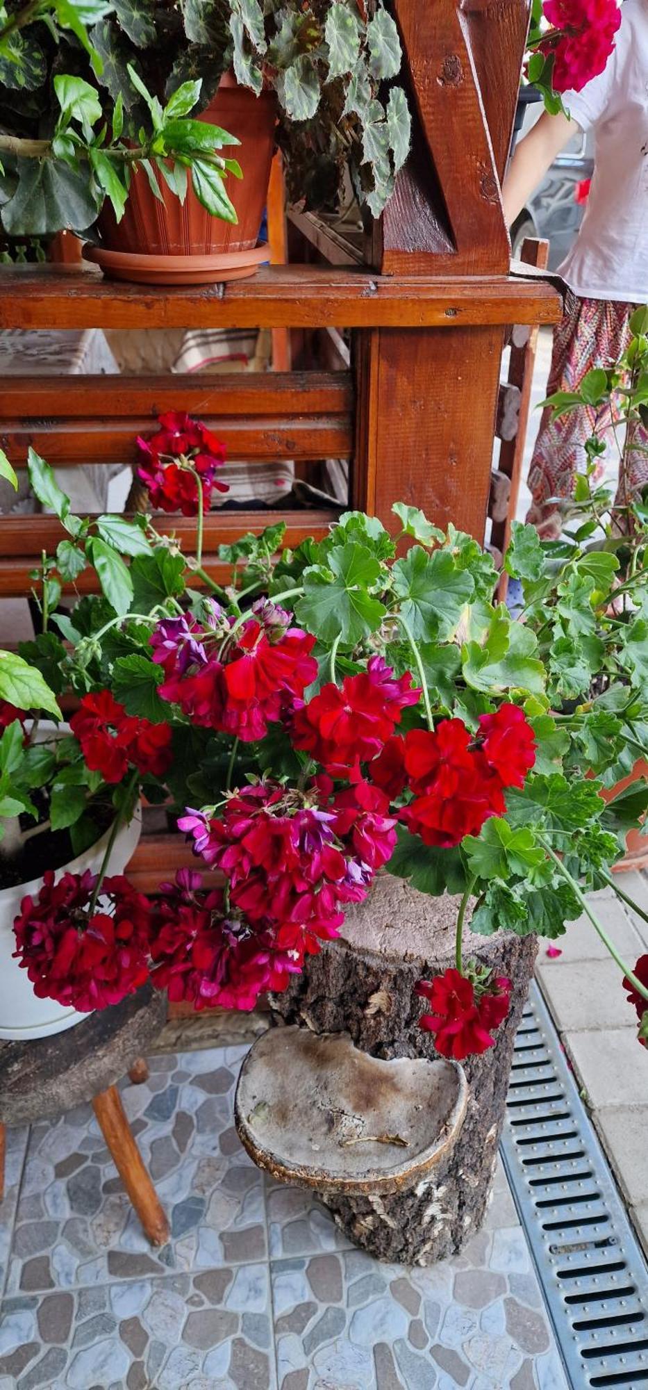 Hotel Casa Agroturistica Tarancuta Din Vatra Moldoviţei Extérieur photo