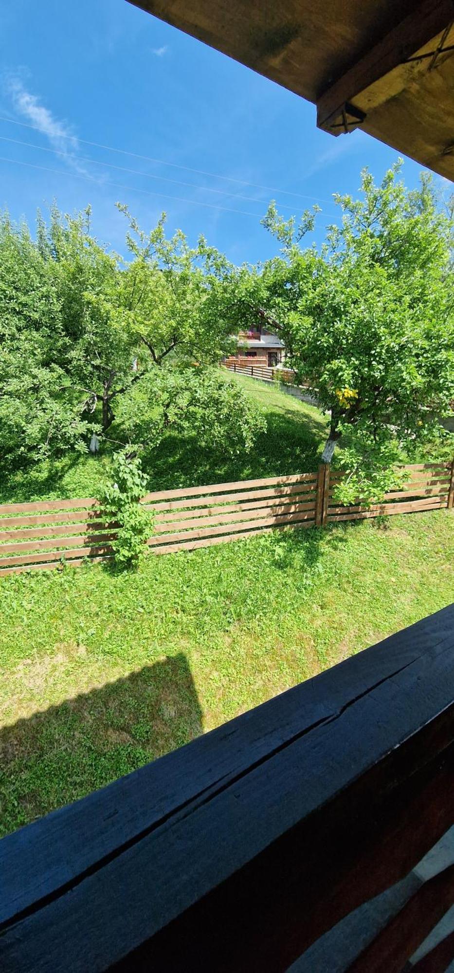 Hotel Casa Agroturistica Tarancuta Din Vatra Moldoviţei Extérieur photo