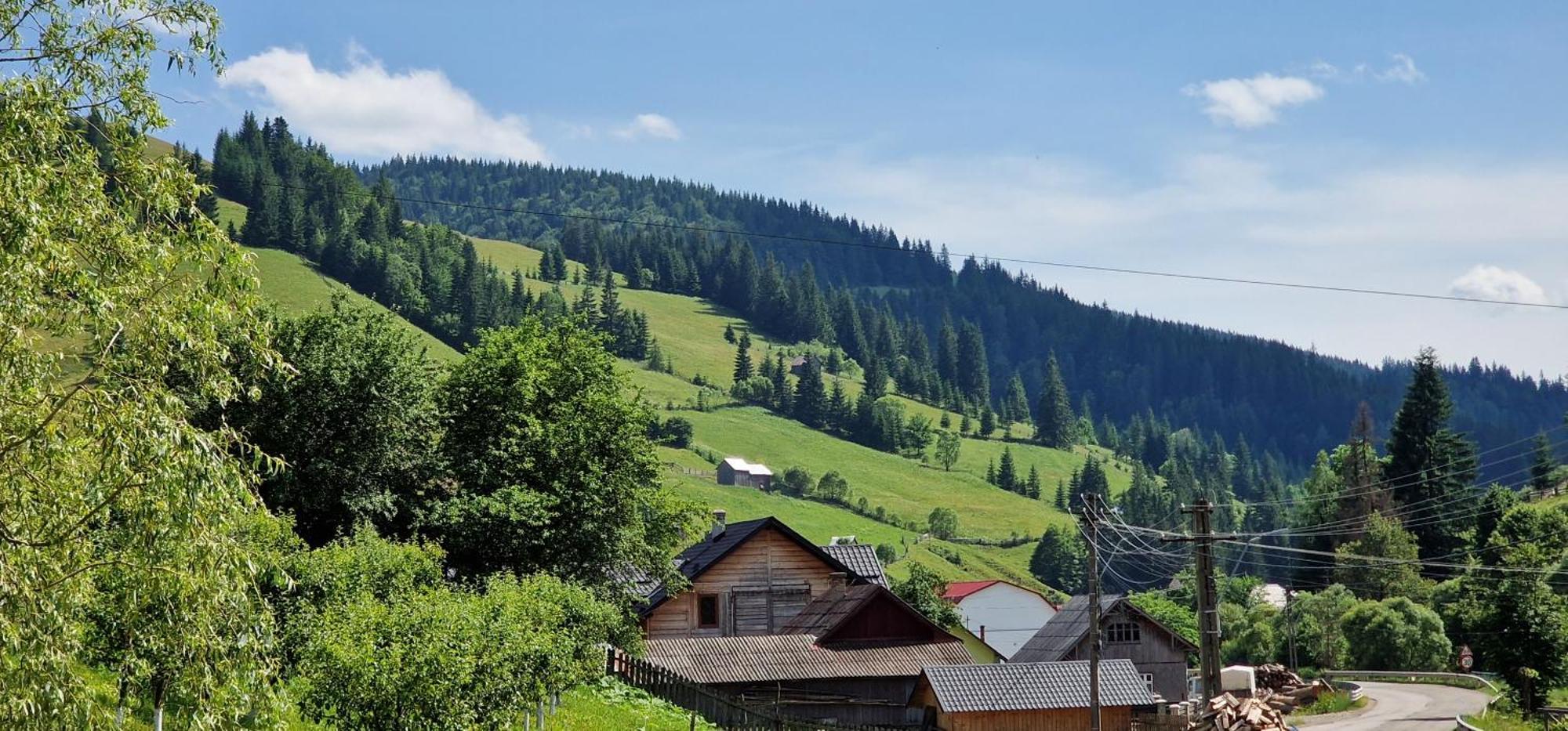 Hotel Casa Agroturistica Tarancuta Din Vatra Moldoviţei Extérieur photo