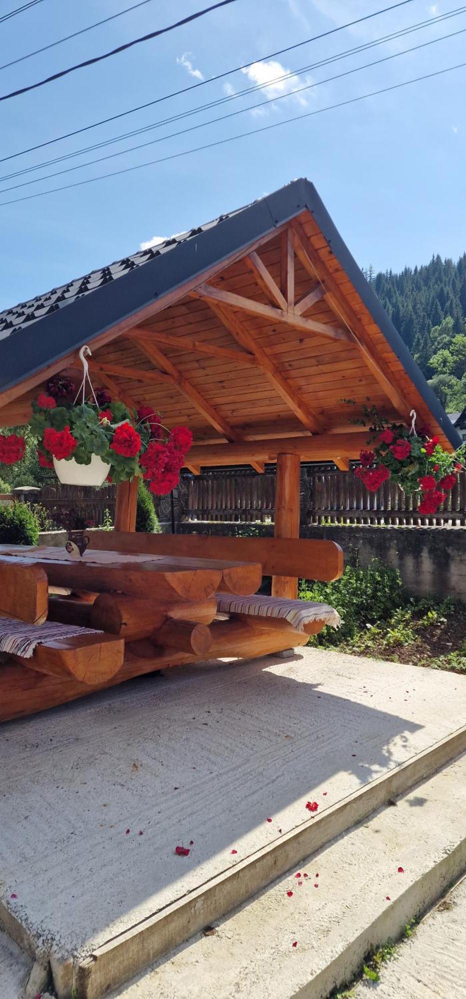 Hotel Casa Agroturistica Tarancuta Din Vatra Moldoviţei Extérieur photo