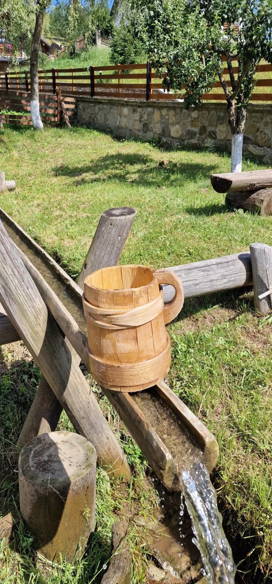 Hotel Casa Agroturistica Tarancuta Din Vatra Moldoviţei Extérieur photo
